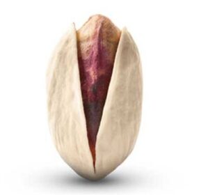 Akbari